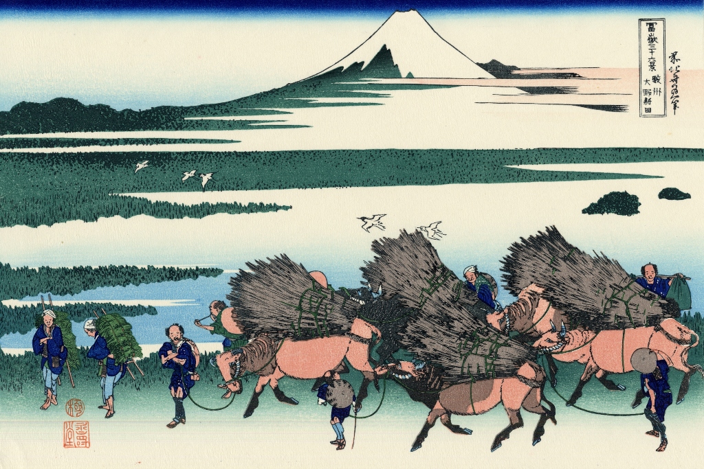 Ōno Shinden in Suruga Province