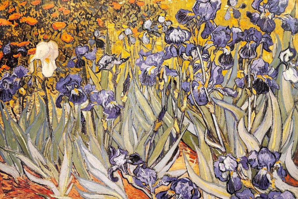 Vincent Van Gogh – “Irises”
