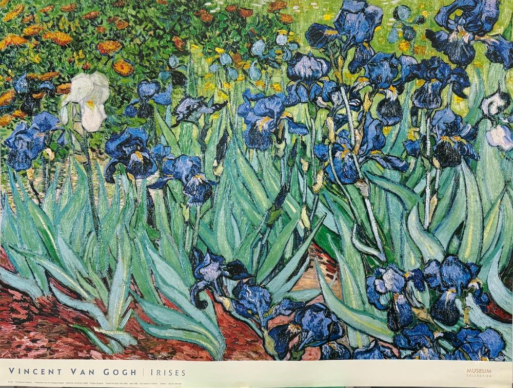 Vincent Van Gogh – “Irises”