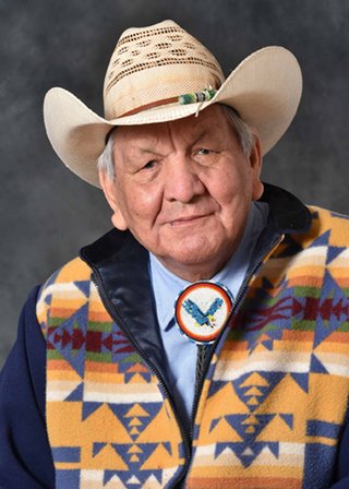 Alex Janvier